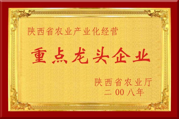 重點龍頭企業(yè)